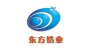 V||䆘IƼɷ޹˾ϯ2025ȫ̑B늳ؼg