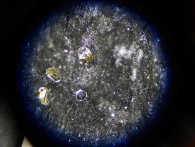 a(chn)10|½חlʯa(chn)Ͷa(chn)