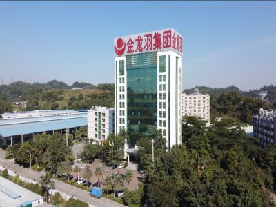 ͶY12|ԪͶY̑B늳PIaĿ