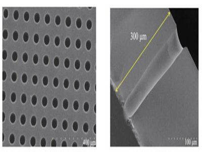 ͨףTGVg(sh)b쾀I(lng)Ą(chung)(q)