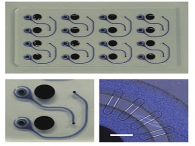 ΢оƬt(y)W(xu)I(lng)M(jn)AͨףTGVg(sh)ɛ]