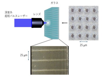 vM_20|Wɹ_l弤΢׼ӹ¼g