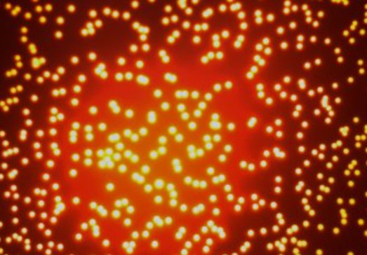 װlȫ渲wJJF 1665-2017ʽxУҎĘ˜|ذ