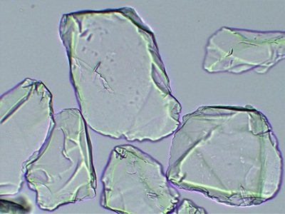 ϴW16ʯӢоɹʶ헼g̰壡