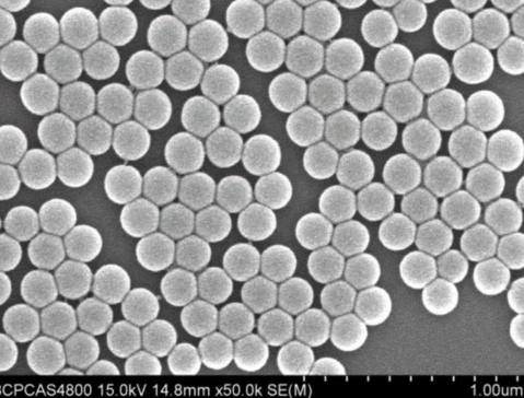 ƾ늳ظĤо(zhn)Ƽ6N輚_aƪ