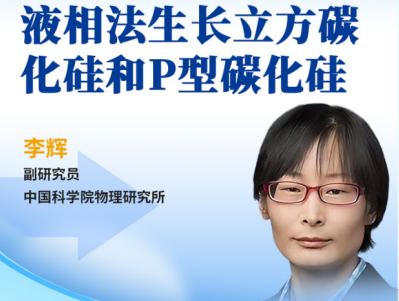 Һ෨P4H-SiCξƂPI·