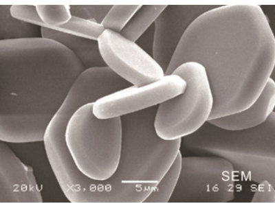 ӴaXR²ľo׷(gu)a(chn)څ(sh)