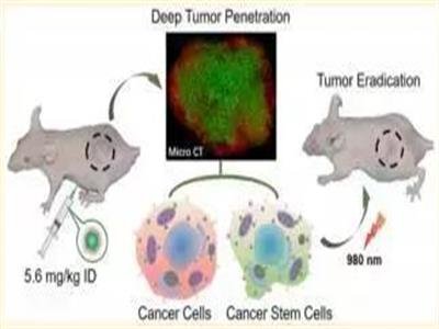 Ϻаl¶๦ܼ{׽Mbw {ײڰYί~һ