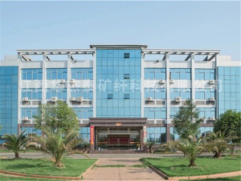 A̩VwƼ޹˾ϯ2025IPIEϺH߶˷wbcƌWxչ[