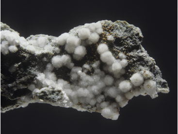 2013-20173ЇȻ̼V(VV)Mڔcδڅ