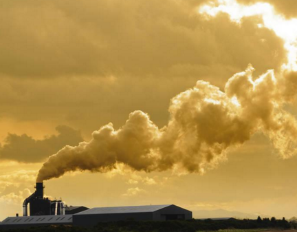 2020ϺʯͿaИIȾŷſp30%