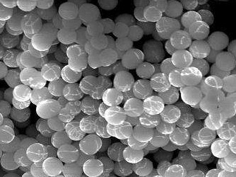 ȼúаlF̓r{w wӰдu