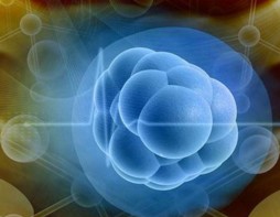 m2021²ϮaIaֵͻ1000|Ԫ