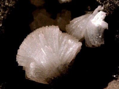 ʯīϩM(jn)߷ɢྦྷʯwϳоȡM(jn)չ