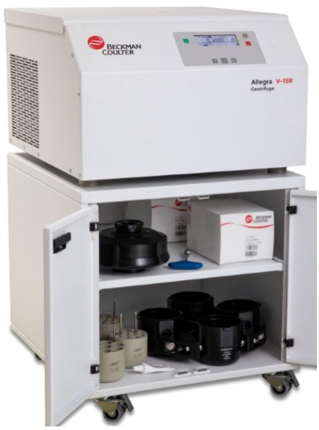 183239_232813_gsdt.jpg 92.jpg