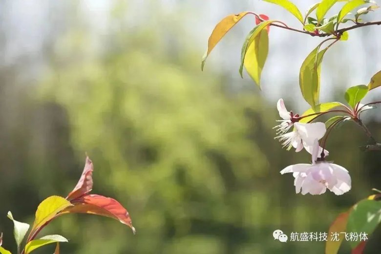 164530_350987_gsdt.jpg 4.jpg