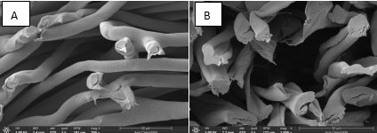 144054_290864_jswz.png 144054_290864_jswz.png