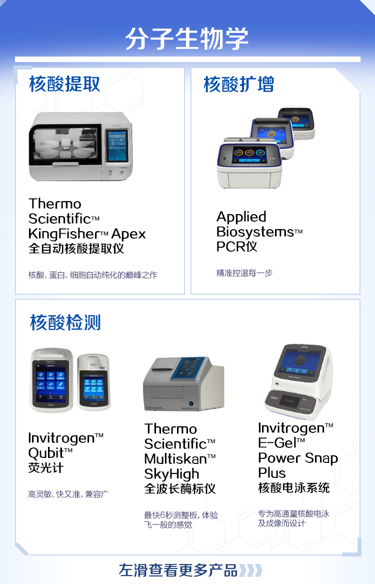 082203_891439_gsdt.png 082203_891439_gsdt.png