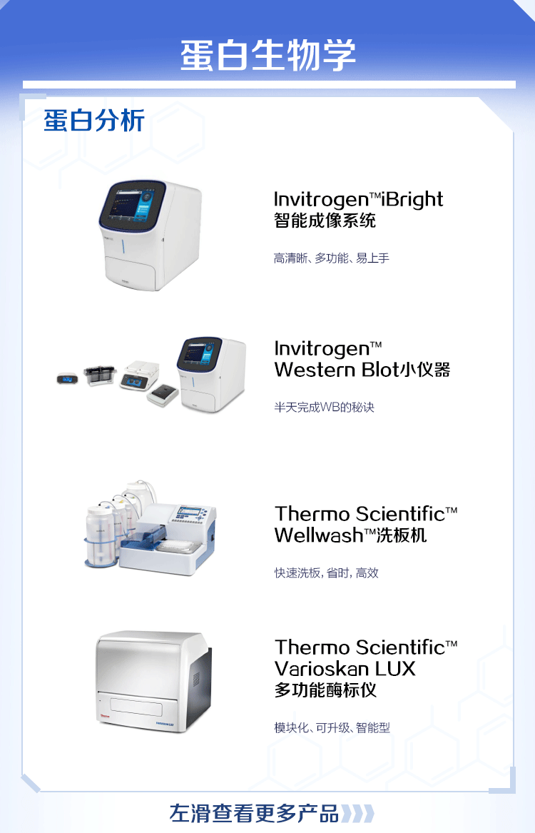 082210_824199_gsdt.png 082210_824199_gsdt.png