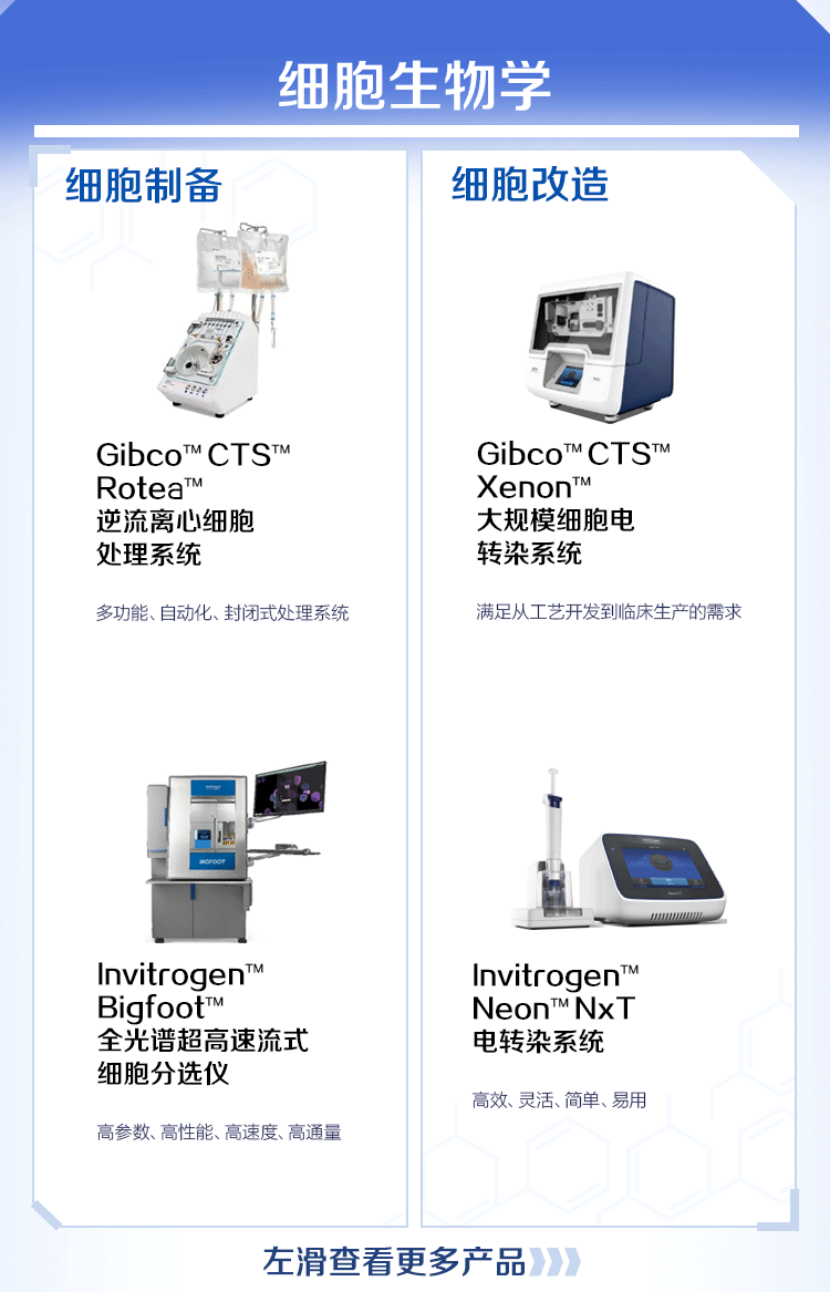 082215_141966_gsdt.png 082215_141966_gsdt.png