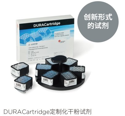 134919_295998_gsdt.png 134919_295998_gsdt.png