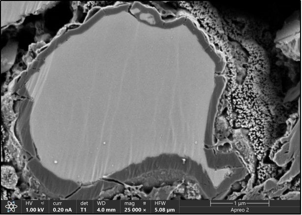 170334_195768_jswz.png 170334_195768_jswz.png