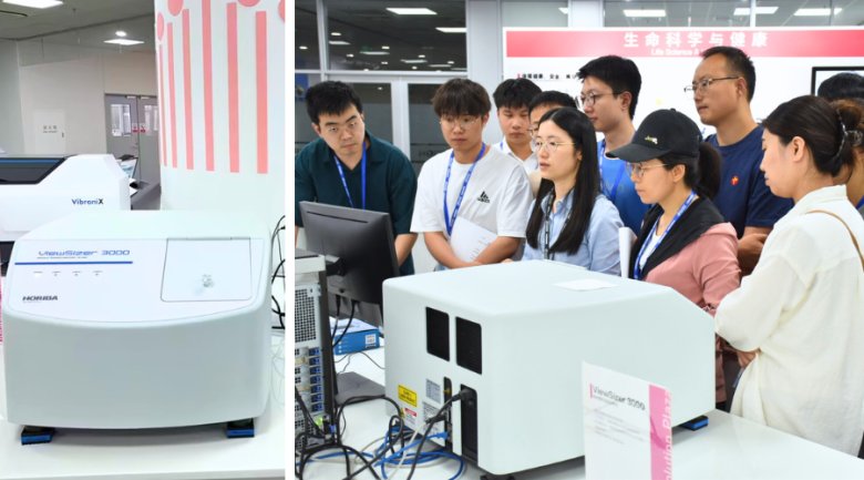 085005_999337_gsdt.png 085005_999337_gsdt.png