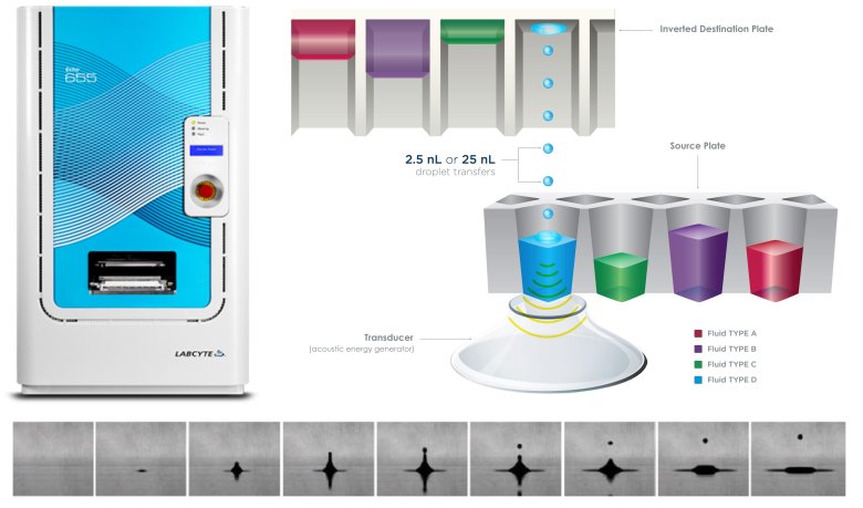 082321_191135_gsdt.png 082321_191135_gsdt.png