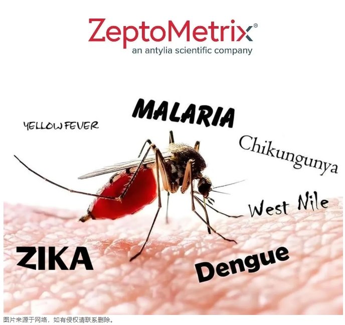 161054_792554_gsdt.png 1.png