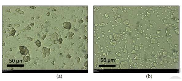 093600_281658_gsdt.png 搜狗高速瀏覽器截圖20251128093503.png